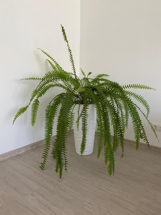 Centra Apartamenti Alūksne Extérieur photo